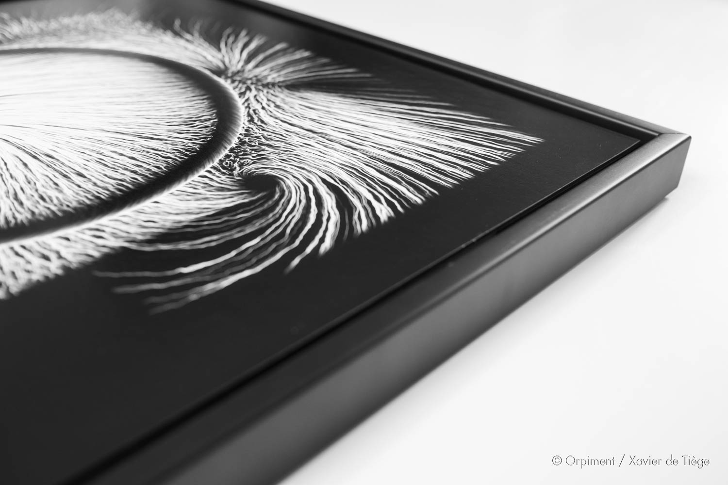 De l’importance de faire bonne impression Xavier de Tiège Algorithmic art